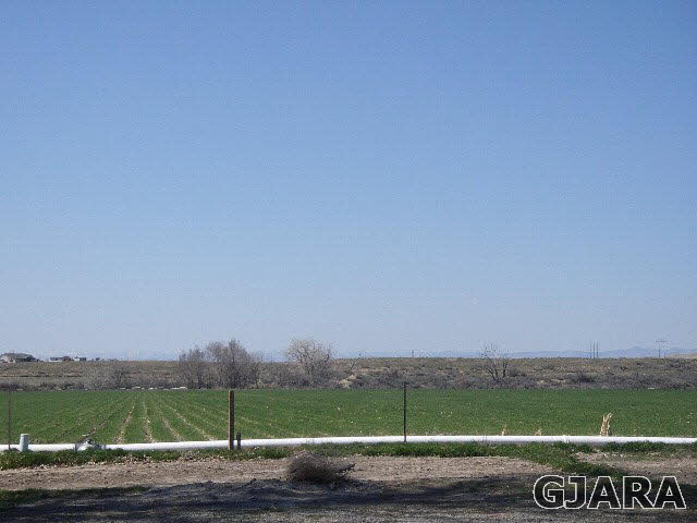 1689 18 Road Fruita, CO 81521 - Photo 8 of 35 a view of a field with an trees