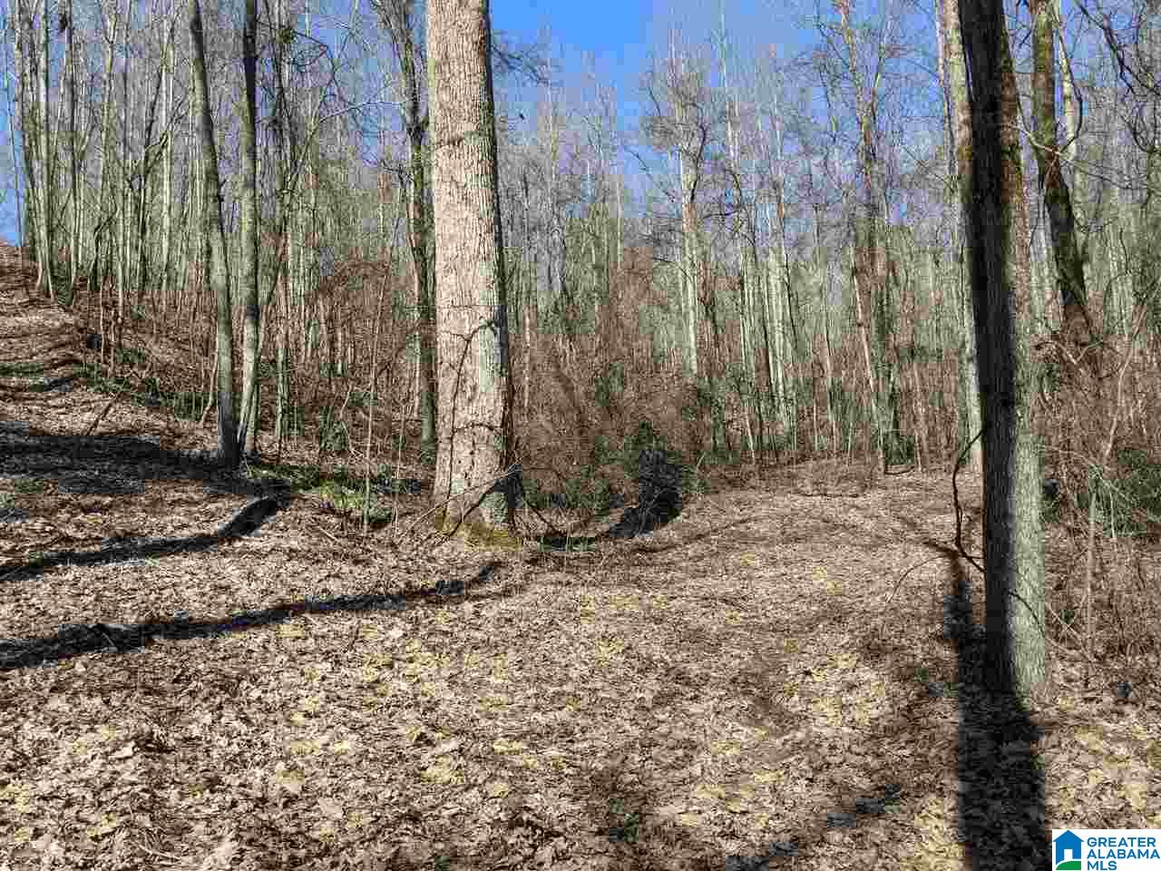 1731 Bolton Road Talladega, AL 35160 - Photo 21 of 46