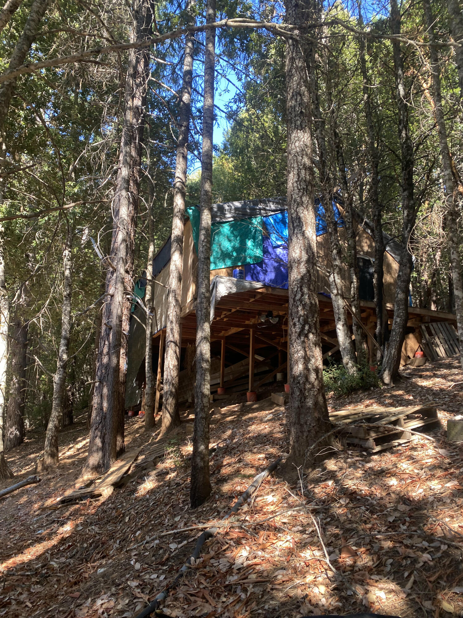 1780 Mcdonald Creek Road Burnt Ranch, CA 95527 - Photo 13 of 58
