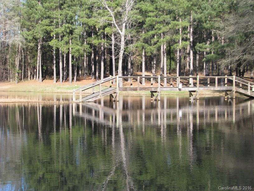 110-ac 110-ac Hall Road Chester, SC 29706 - Photo 2 of 15