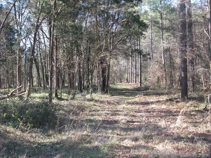 110-ac 110-ac Hall Road Chester, SC 29706 - Photo 13 of 15
