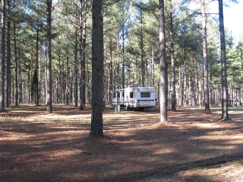 110-ac 110-ac Hall Road Chester, SC 29706 - Photo 3 of 15