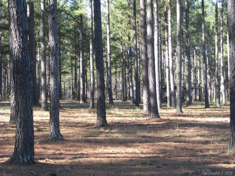 110-ac 110-ac Hall Road Chester, SC 29706 - Photo 4 of 15