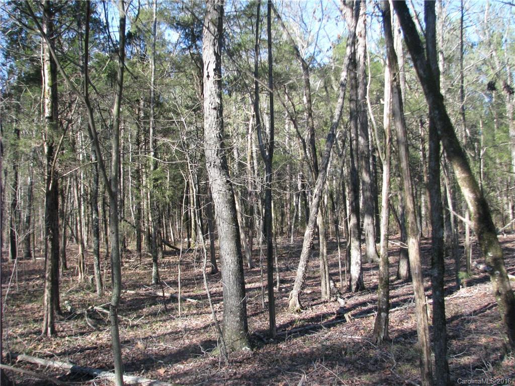 110-ac 110-ac Hall Road Chester, SC 29706 - Photo 7 of 15