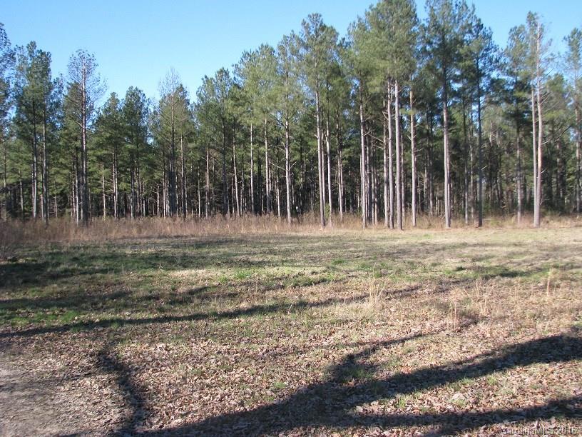 110-ac 110-ac Hall Road Chester, SC 29706 - Photo 8 of 15
