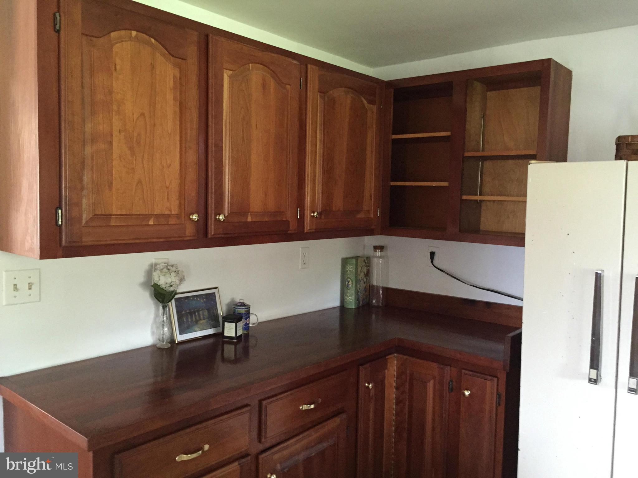 17301 White Ground Road Boyds, MD 20841 - Photo 6 of 25 Kitchen