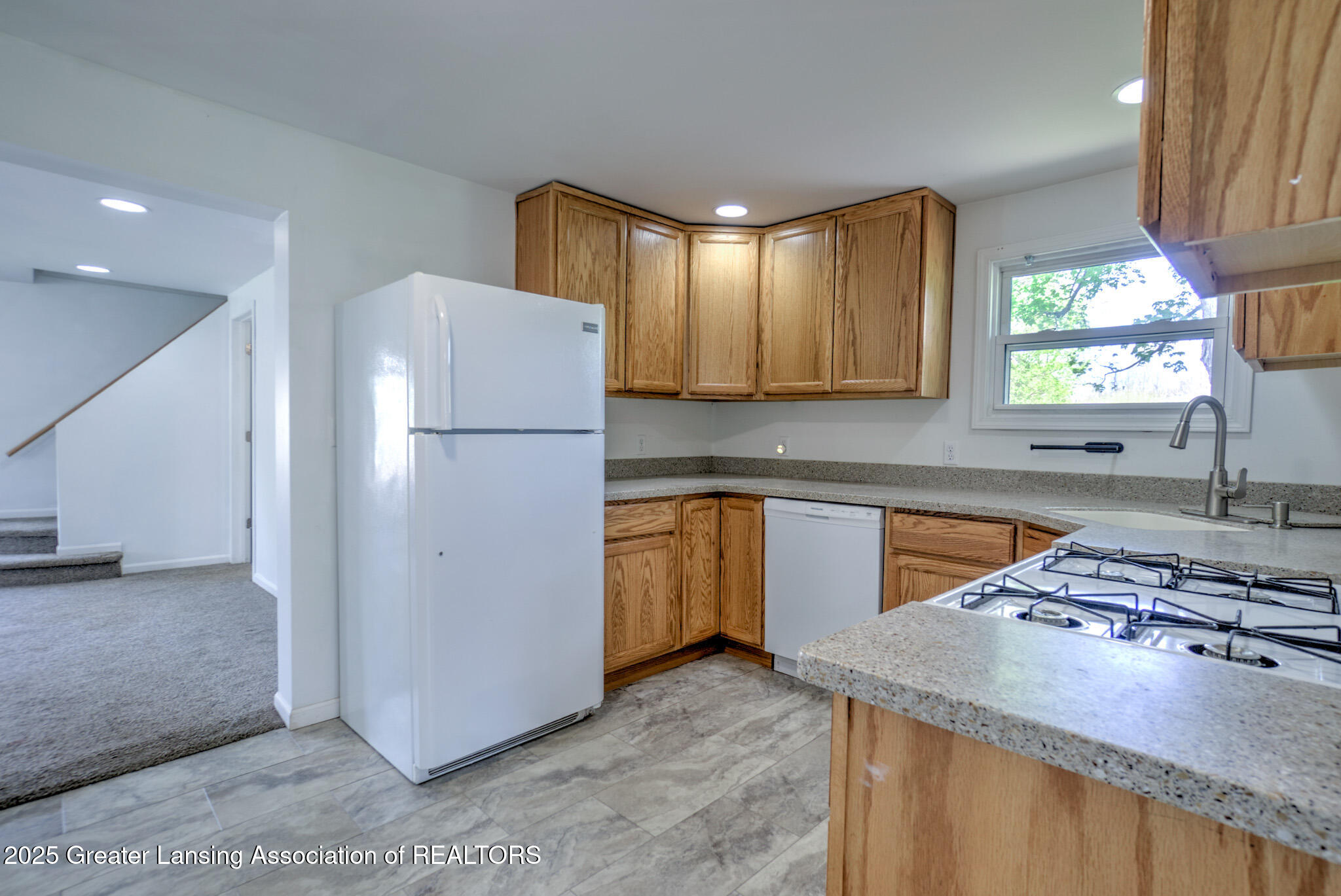 129 Spring Street Rives Junction, MI 49277 - Photo 27 of 43 DSC07311_2_3