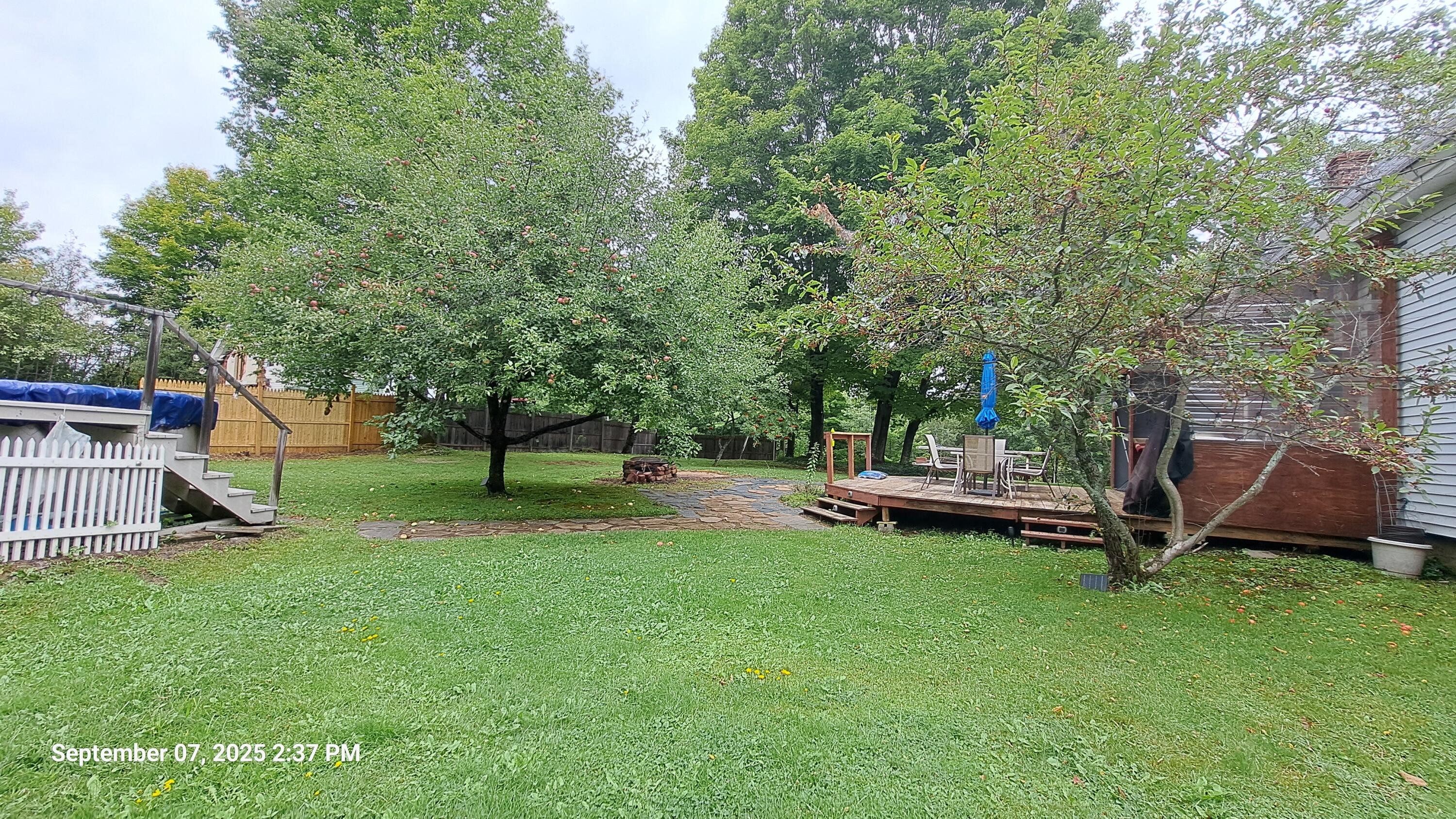 150 Main Road Brownville, ME 04414 - Photo 8 of 31 Back Yard