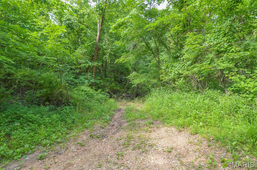 Tbb Tbb Barclay Springs Road Lebanon, MO 65536 - Photo 7 of 13