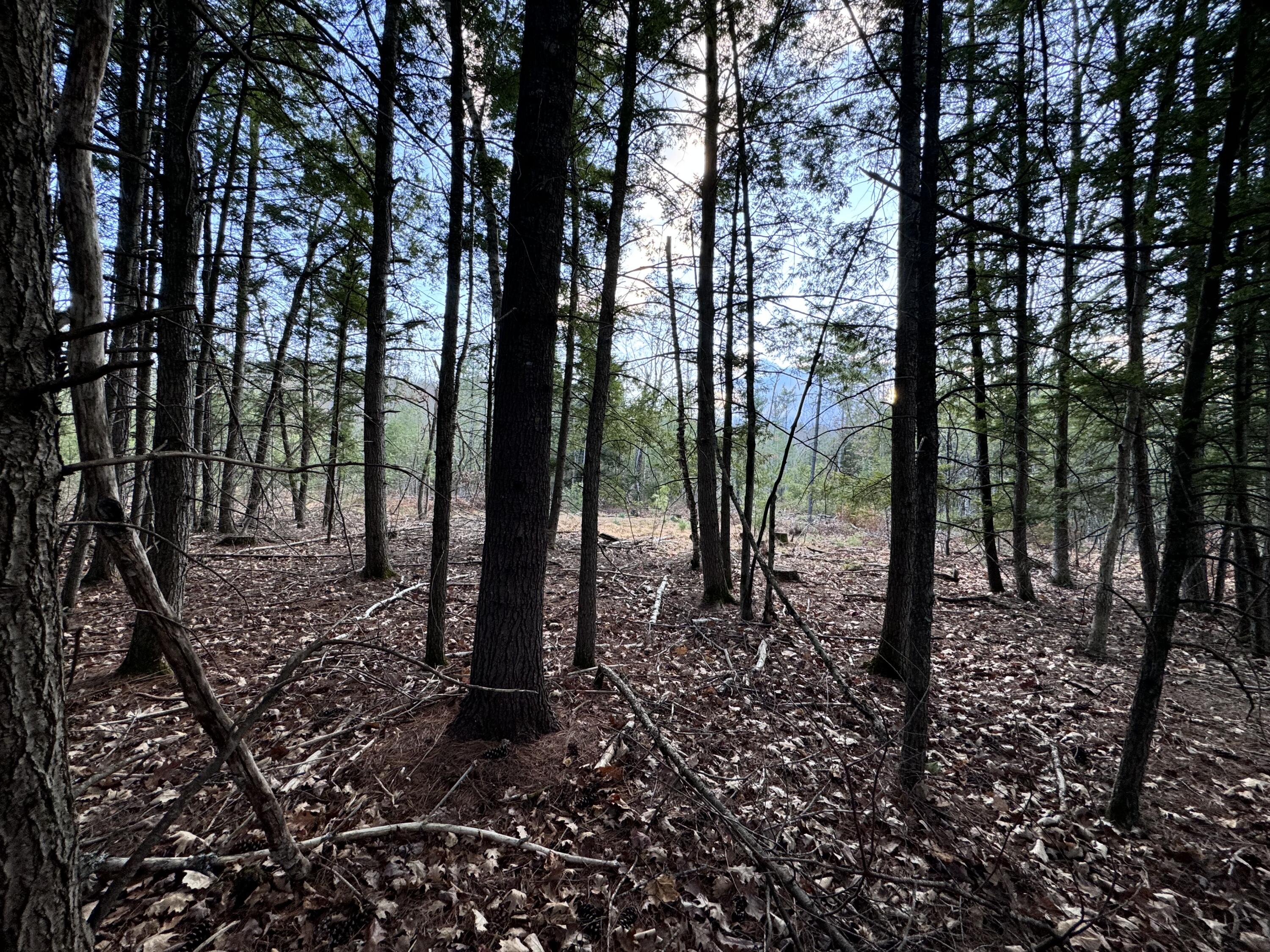 0 River Road Hiram, ME 04041 - Photo 12 of 30 subdivision lot