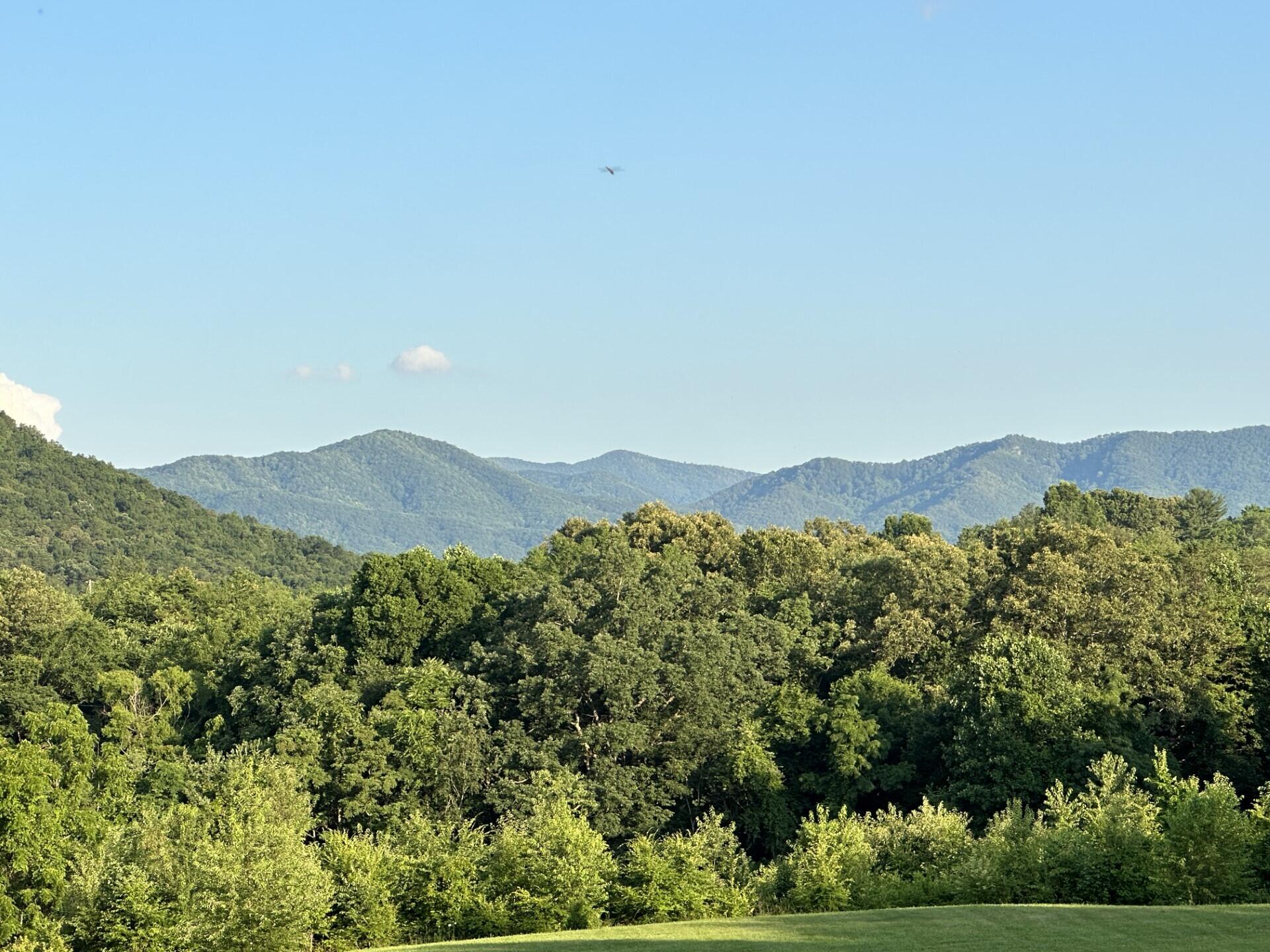 237 Cedar Creek Road Greeneville, TN 37743 - Photo 66 of 99 thumbnail_IMG_1089