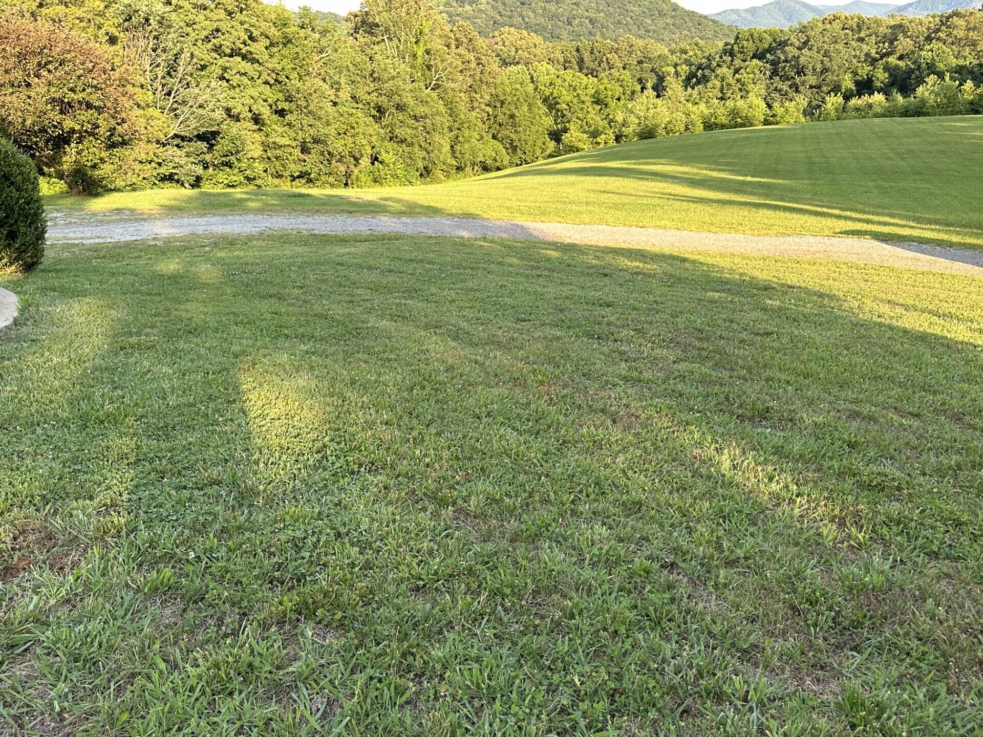 237 Cedar Creek Road Greeneville, TN 37743 - Photo 68 of 99 thumbnail_IMG_1102