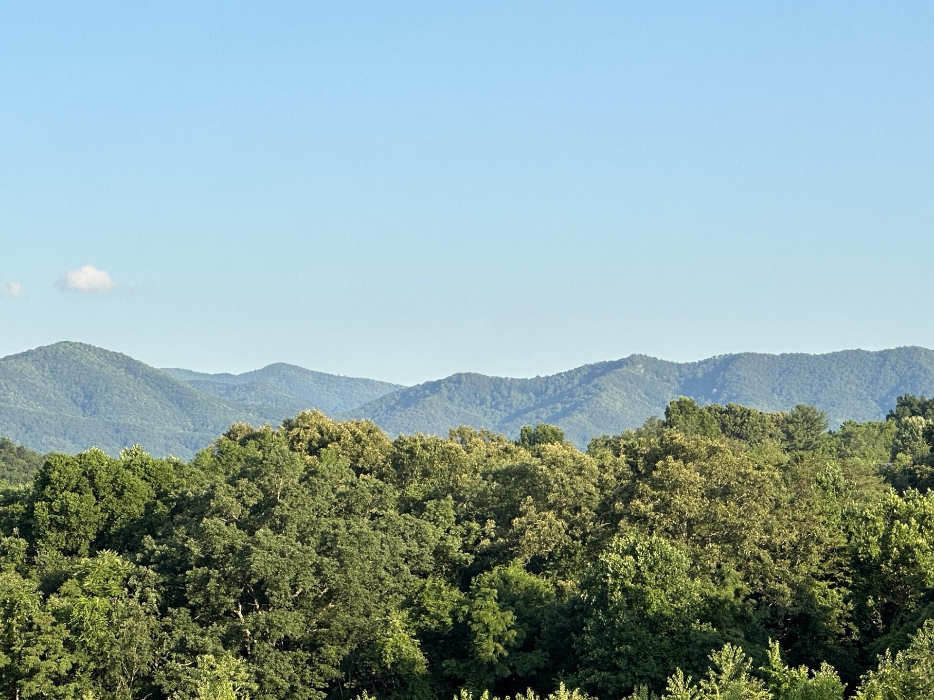 237 Cedar Creek Road Greeneville, TN 37743 - Photo 72 of 99 thumbnail_IMG_1091