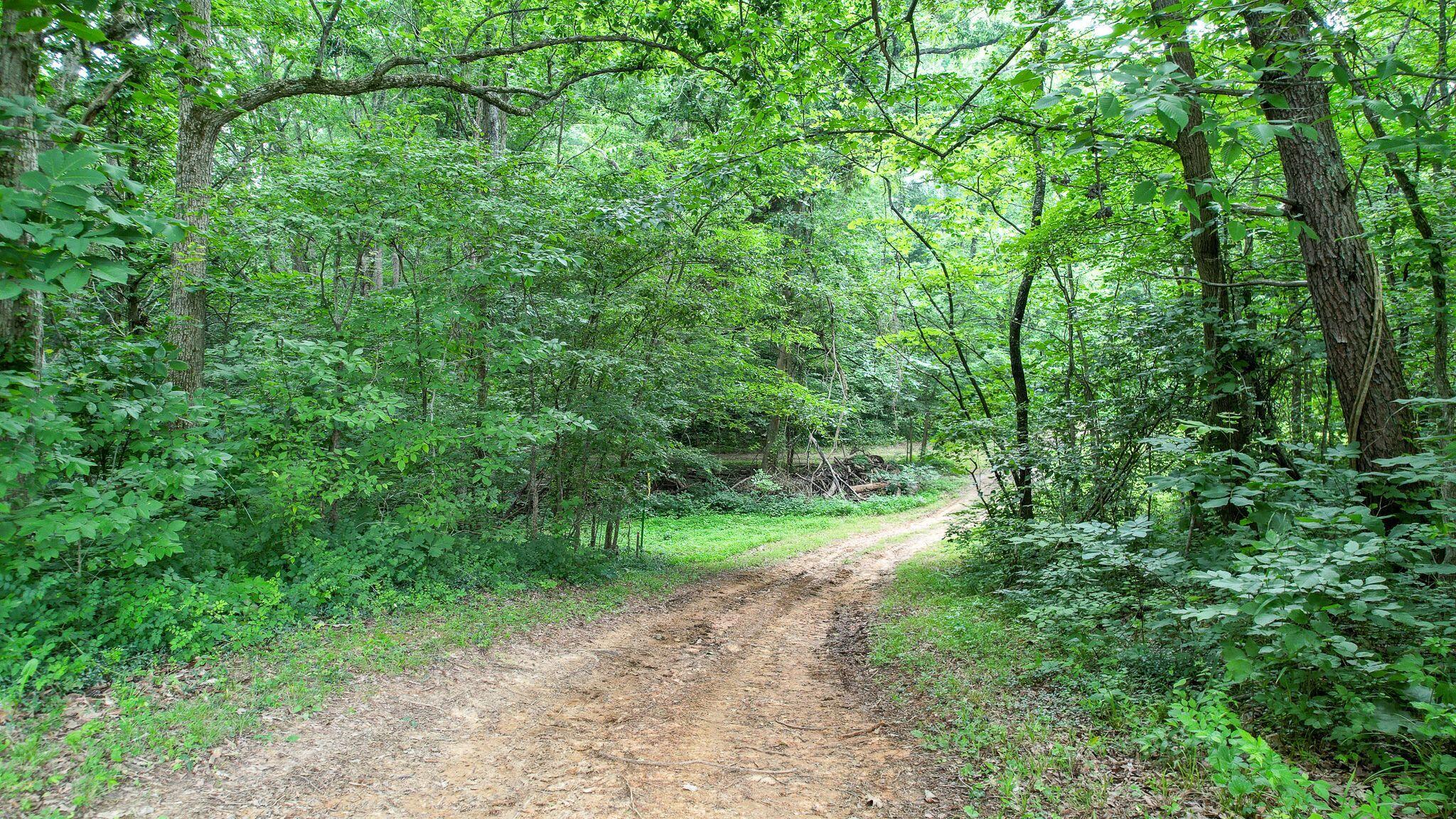 237 Cedar Creek Road Greeneville, TN 37743 - Photo 81 of 99 C35rSf1g