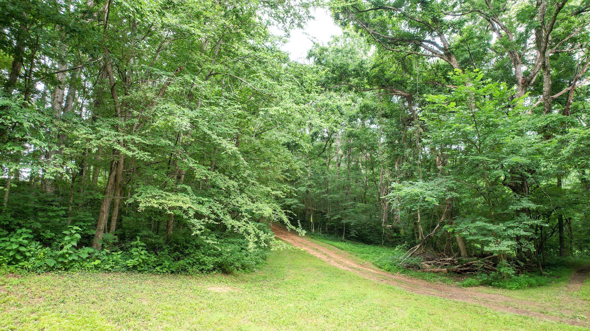 237 Cedar Creek Road Greeneville, TN 37743 - Photo 85 of 99 EYG64rQA