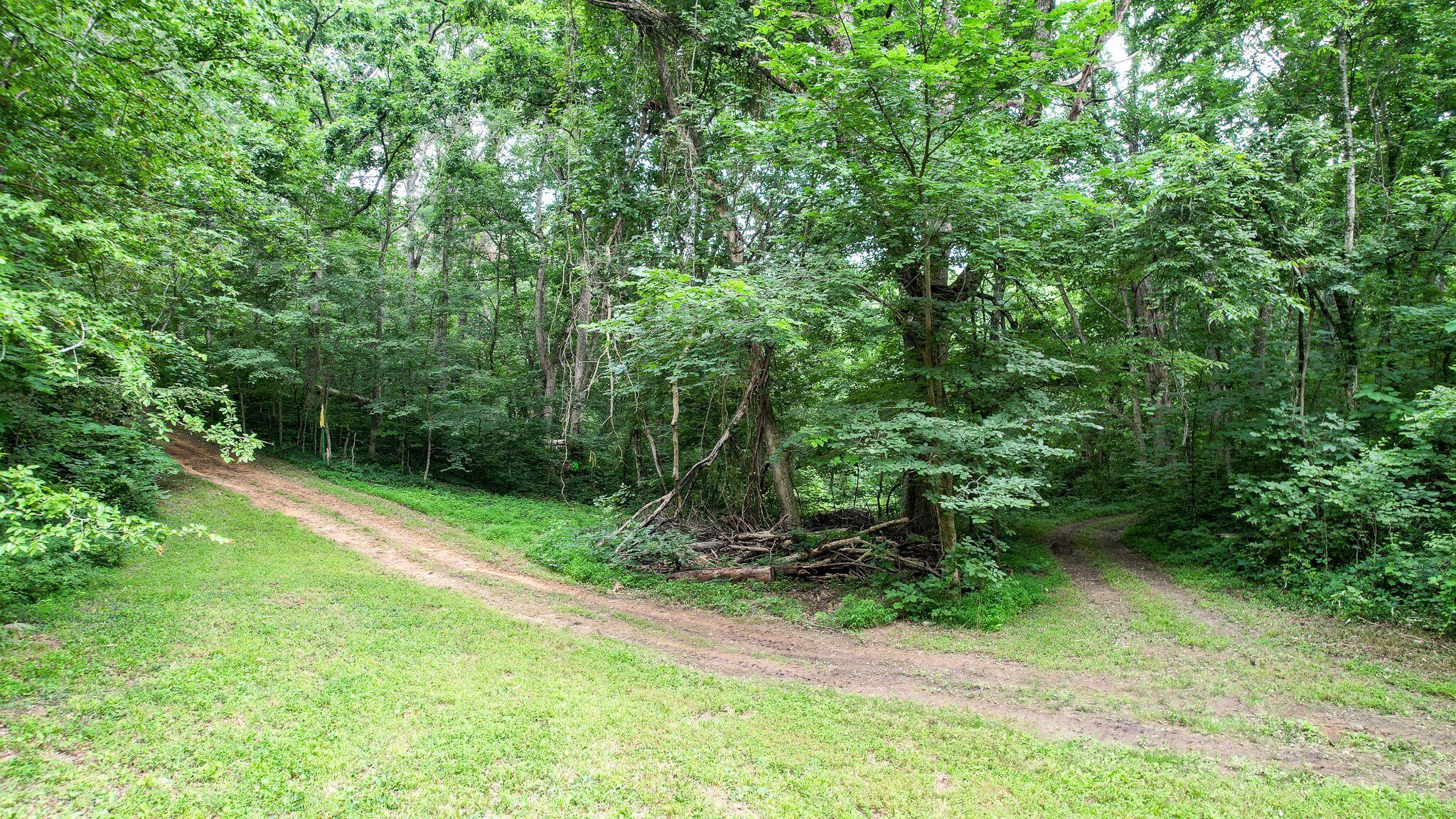 237 Cedar Creek Road Greeneville, TN 37743 - Photo 91 of 99 ru-usFkA