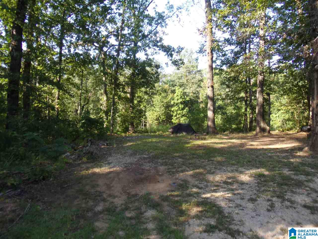 20278 Woodville Road McCalla, AL 35111 - Photo 3 of 29