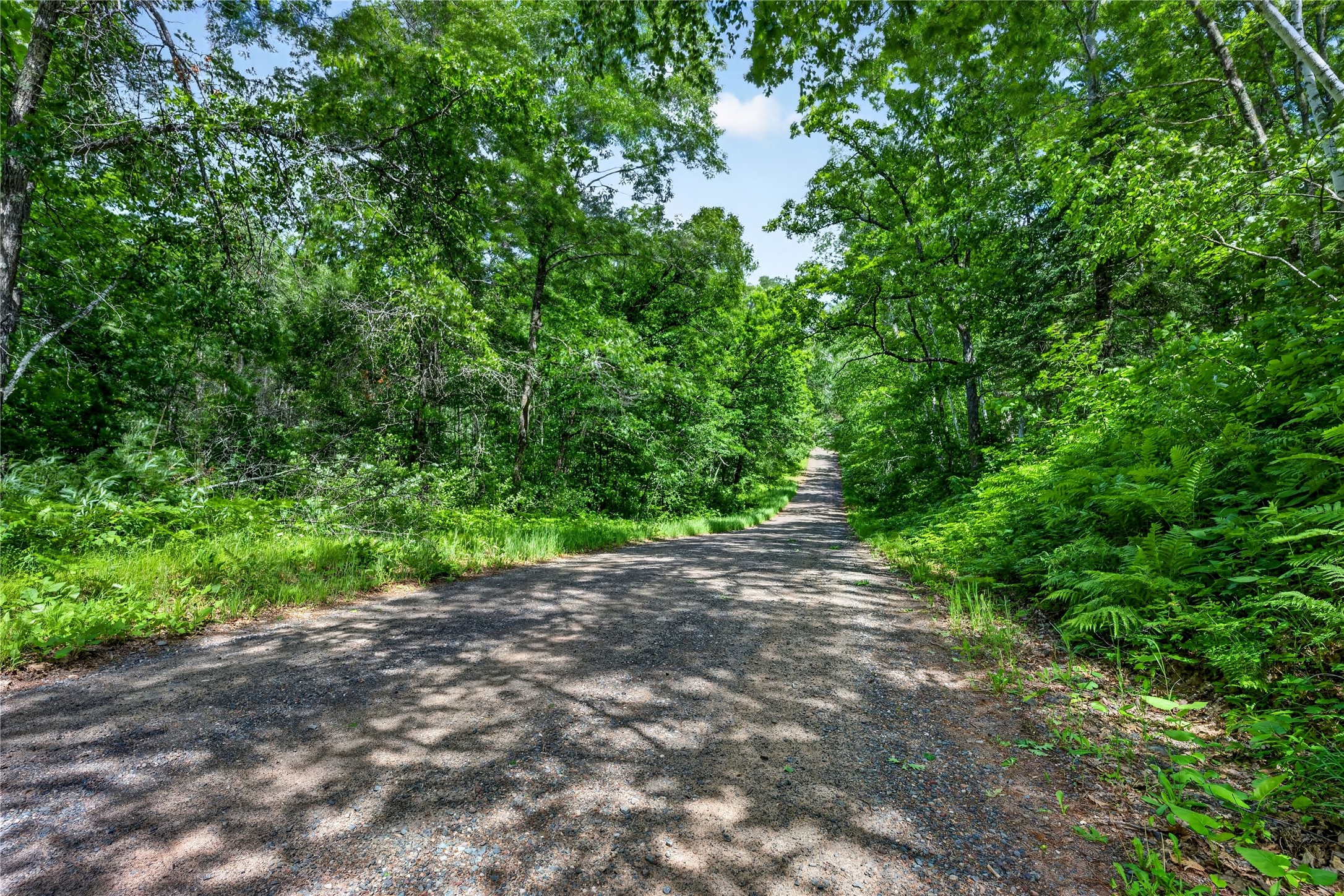Xx Bean Brk Lane Stone Lake, WI 54876 - Photo 8 of 16