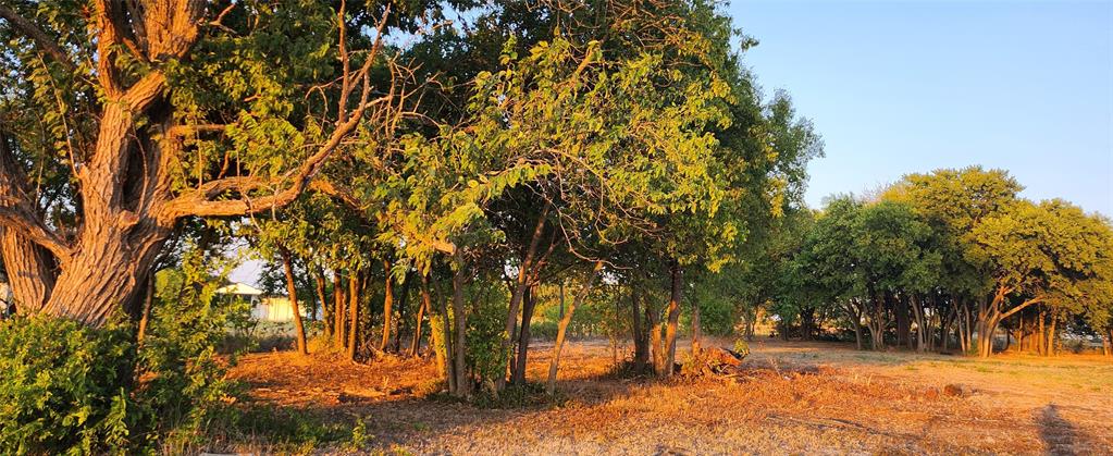 592 Pike Road Gunter, TX 75058 - Photo 24 of 40 View of local wilderness