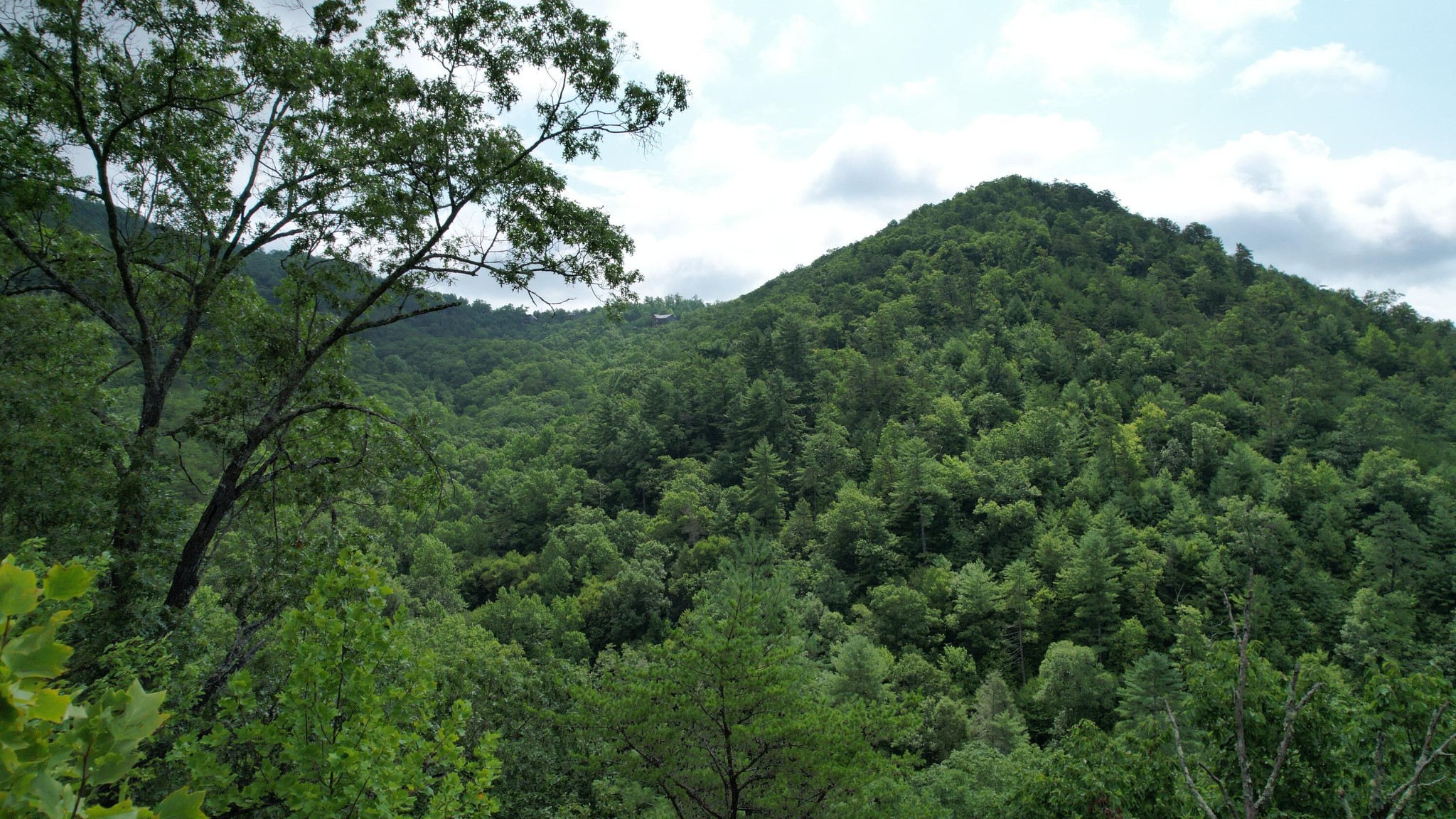 98 Black Powder Lane Sevierville, TN 37862 - Photo 19 of 30