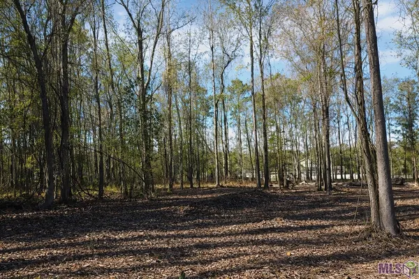 $45,000 | Tract A Picou Road, Maurepas, LA 70449