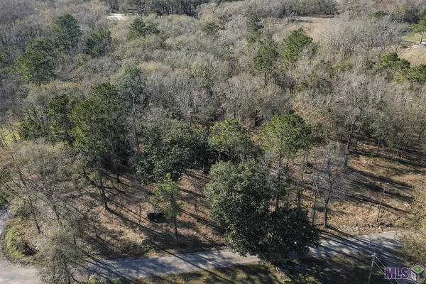 $45,000 | Tract A Picou Road, Maurepas, LA 70449