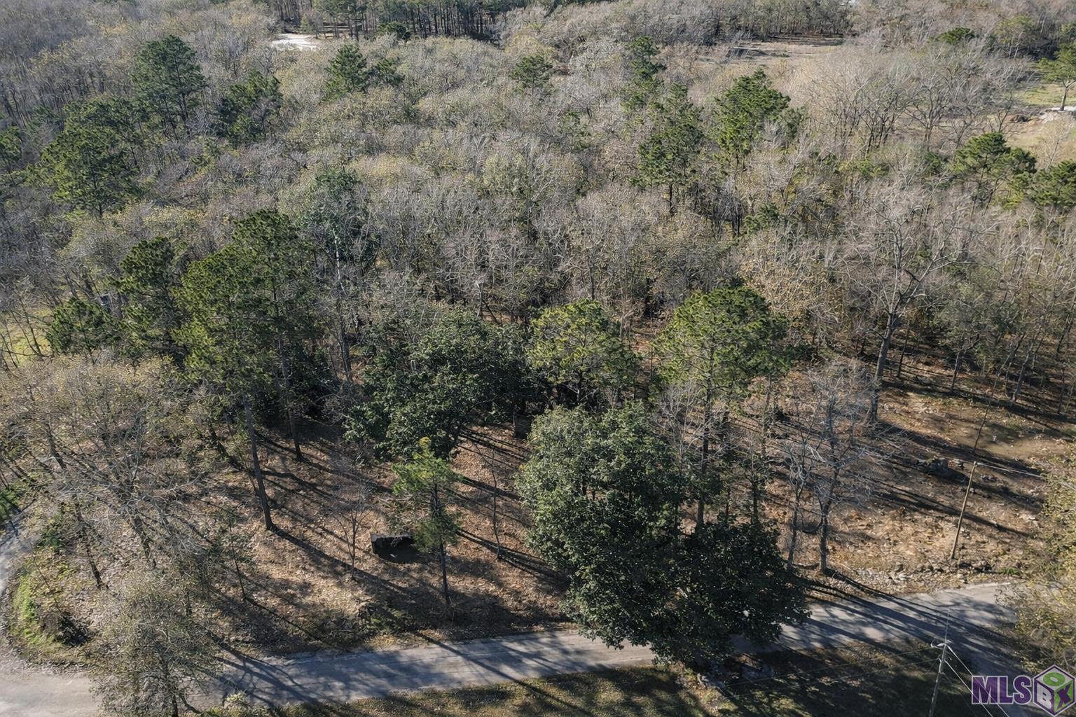 Tract A Picou Road Maurepas, LA 70449 - Photo 12 of 12