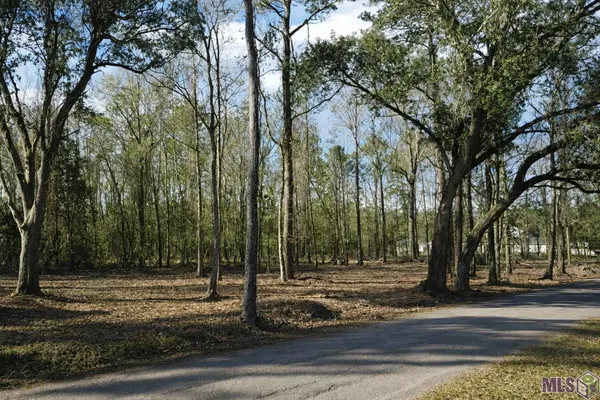 $45,000 | Tract A Picou Road, Maurepas, LA 70449