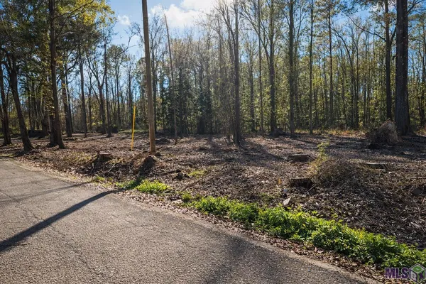 $45,000 | Tract A Picou Road, Maurepas, LA 70449