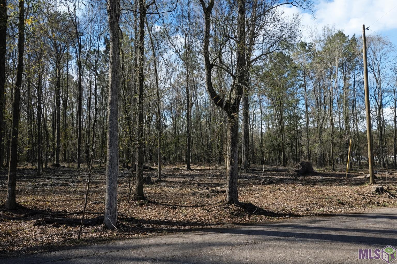 Tract A Picou Road Maurepas, LA 70449 - Photo 5 of 12