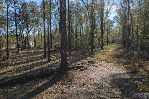 $45,000 | Tract A Picou Road, Maurepas, LA 70449