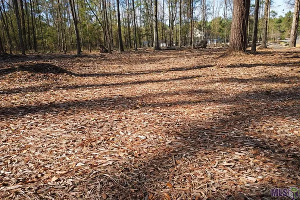 $45,000 | Tract A Picou Road, Maurepas, LA 70449