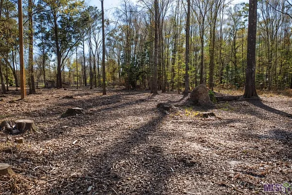 $45,000 | Tract A Picou Road, Maurepas, LA 70449