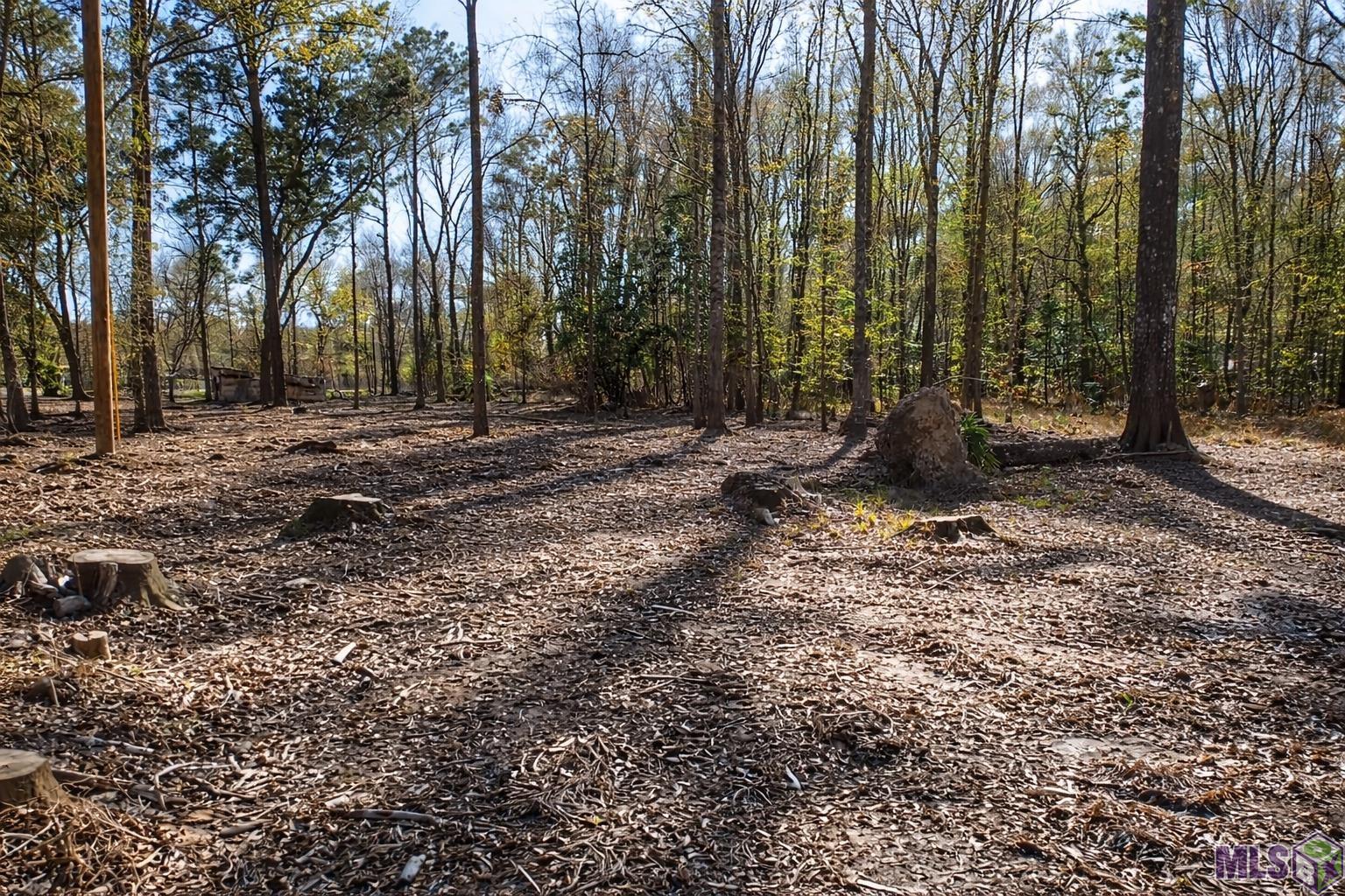 Tract A Picou Road Maurepas, LA 70449 - Photo 8 of 12