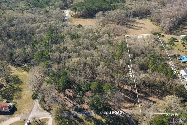 $45,000 | Tract A Picou Road, Maurepas, LA 70449