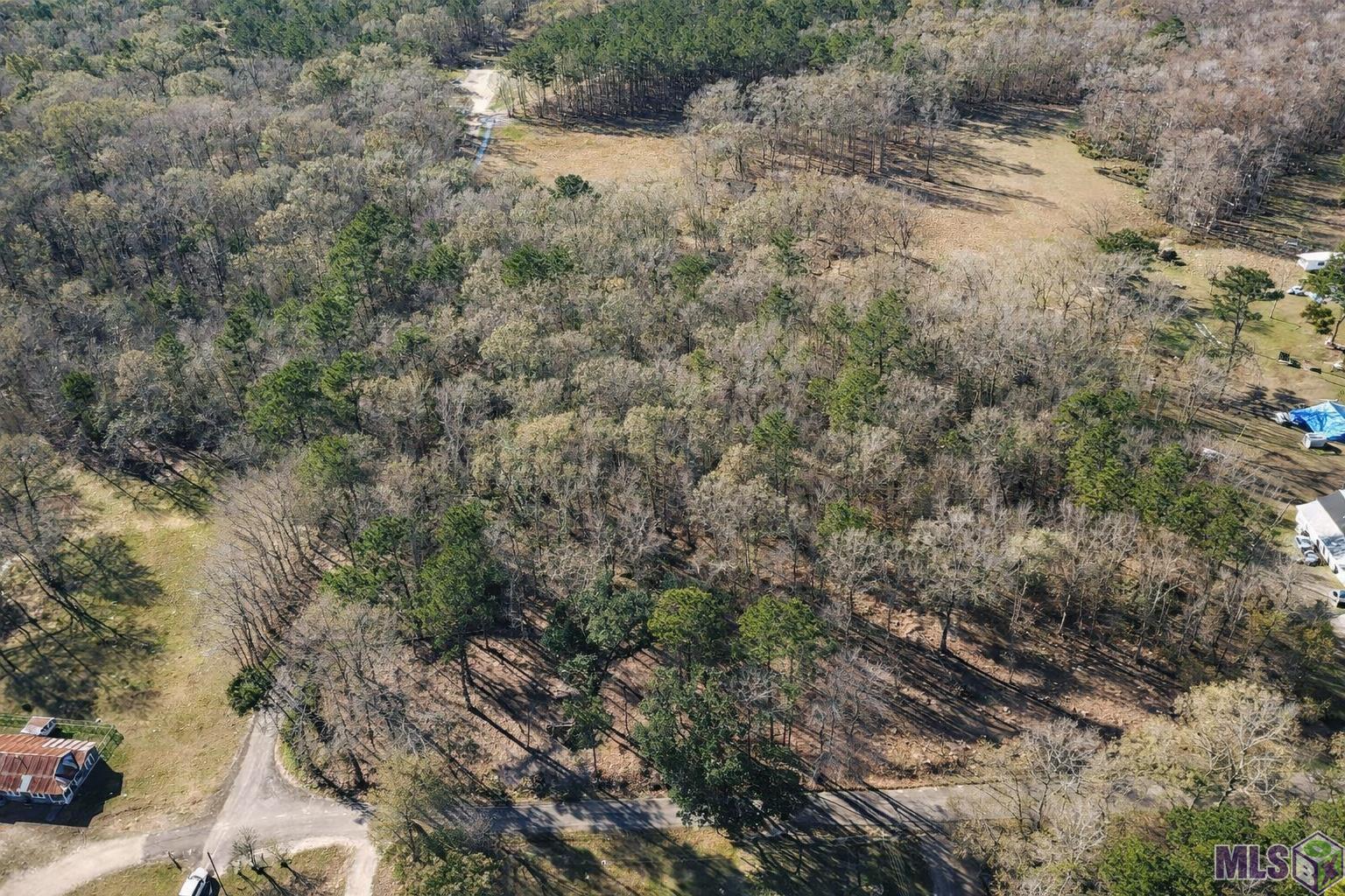 Tract A Picou Road Maurepas, LA 70449 - Photo 10 of 12
