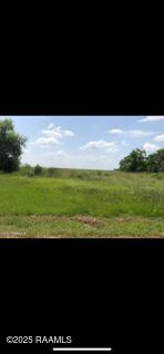 0 Cabrol Road Abbeville, LA 70510 - Photo 2 of 5 IMG_9512