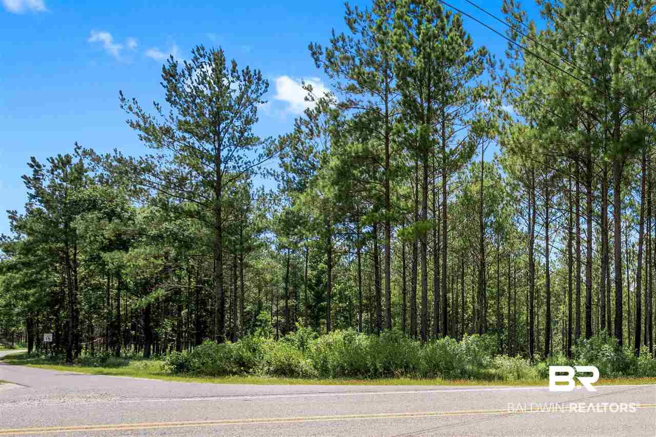 3 Hollingsworth Road Bay Minette, AL 36507 - Photo 4 of 10