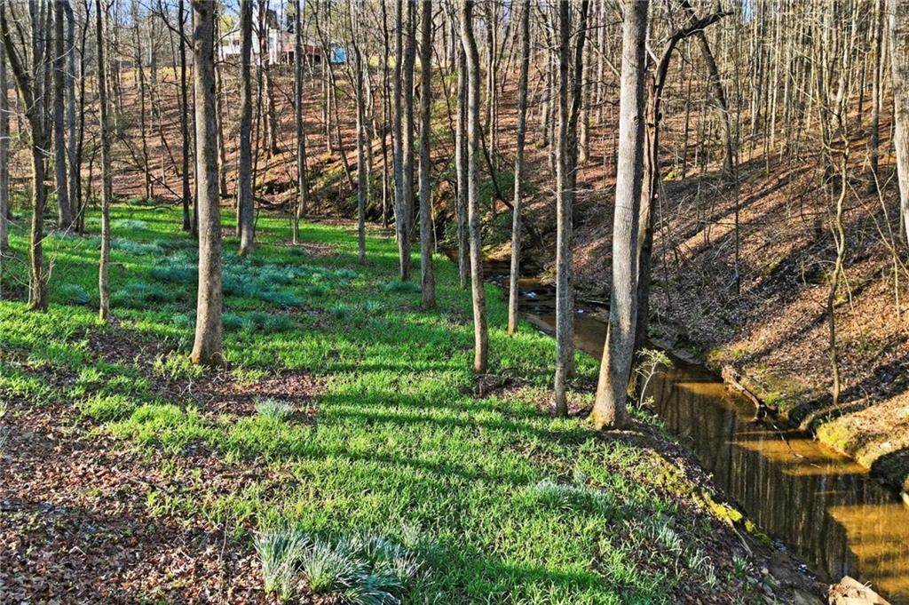 149 Hidden Creek Road Jasper, GA 30143 - Photo 48 of 60