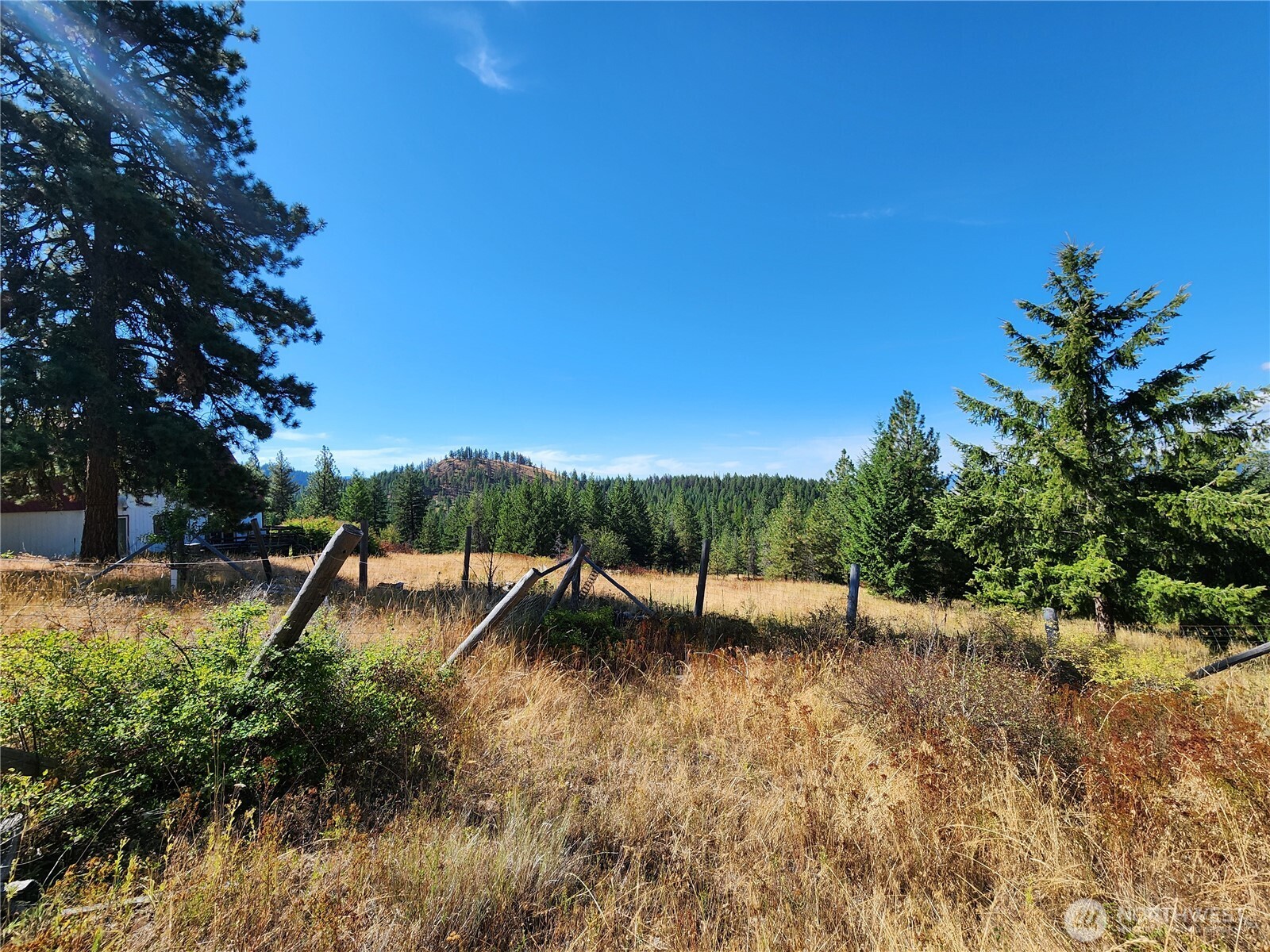 0 Sleepy Hollow Road Curlew, WA 99118 - Photo 13 of 39 Gallery Image 13