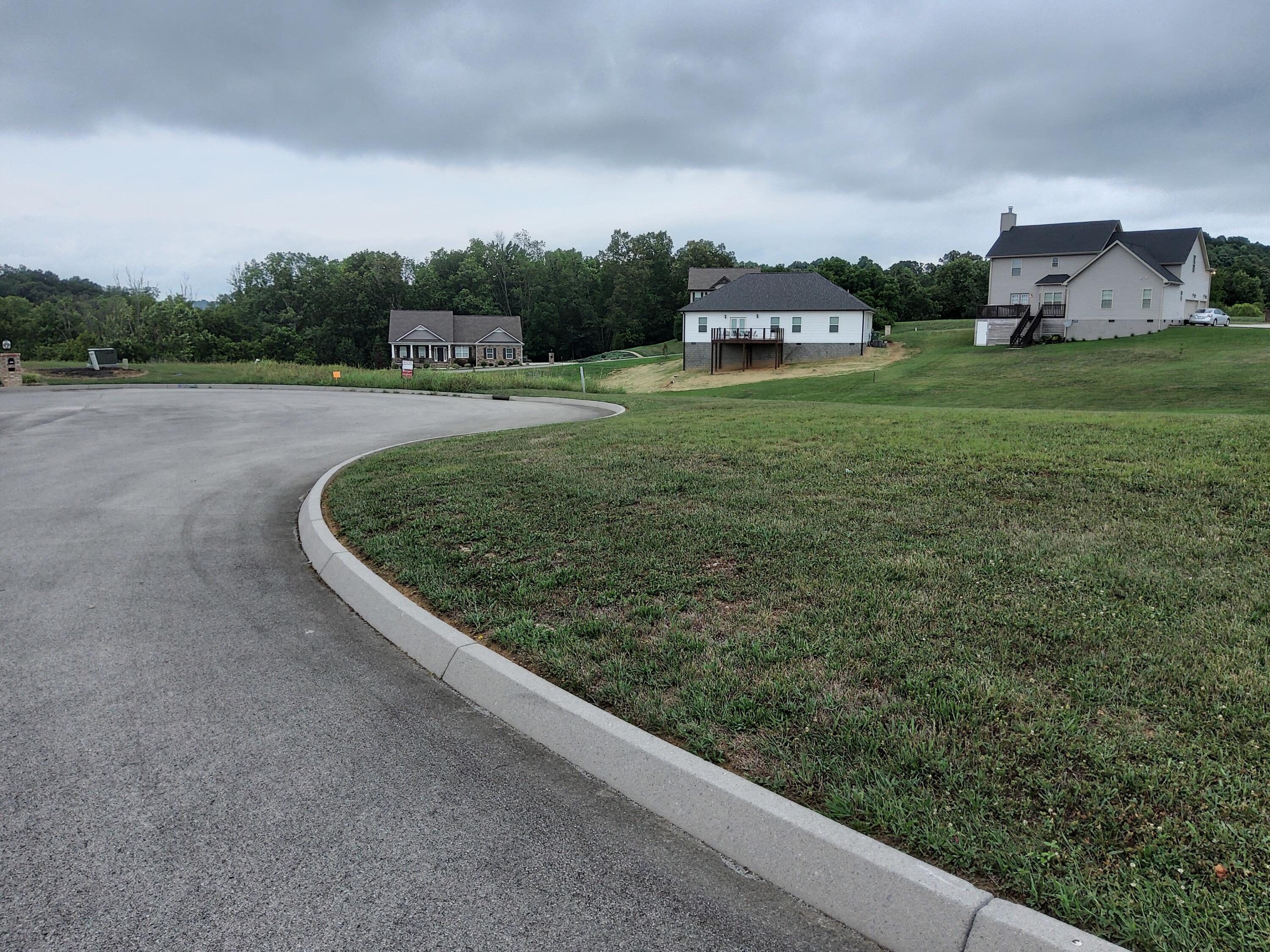 Gabrielle Road Strawberry Plains, TN 37871 - Photo 1 of 1 20210709_111239