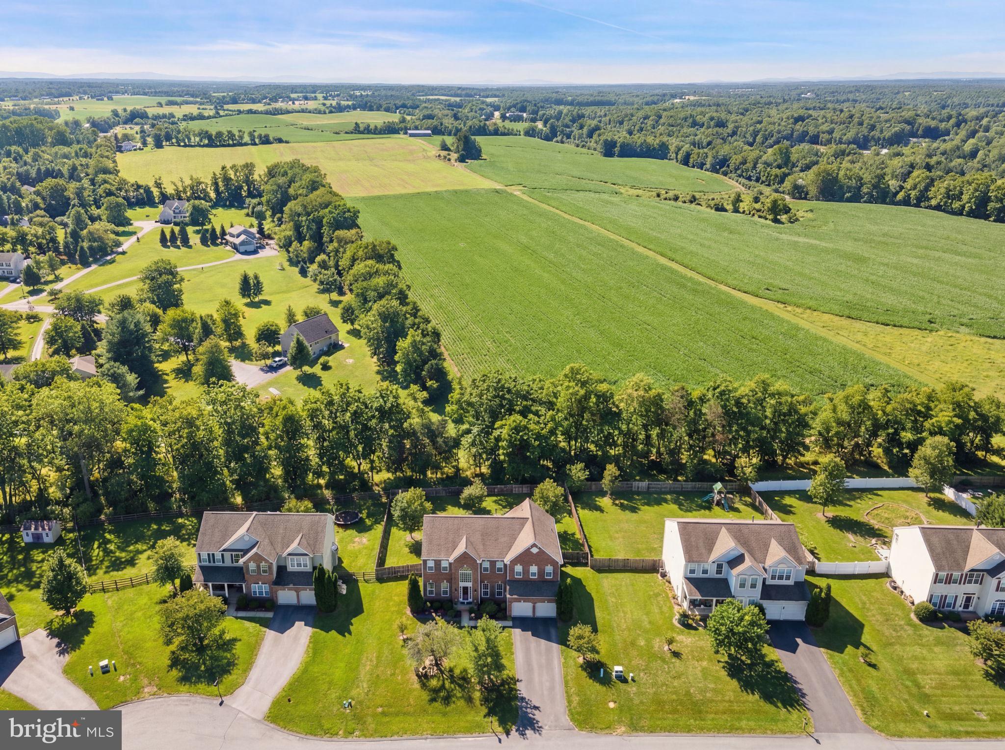 374 Rustling Leaf Place Kearneysville, WV 25430 - Photo 81 of 86