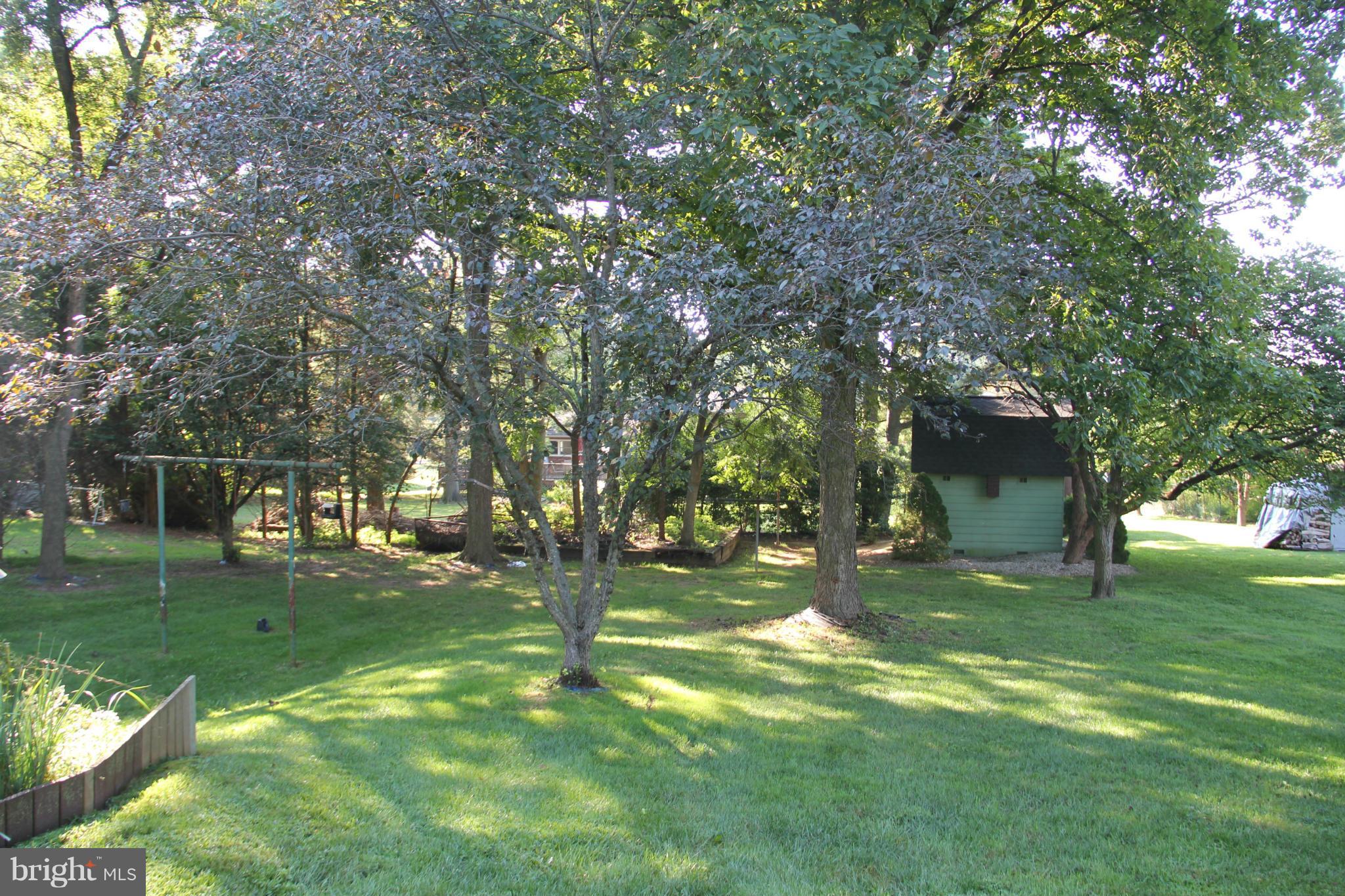 9913 Fox Hill Road Perry Hall, MD 21128 - Photo 23 of 24 a view of a tree in a yard with a house
