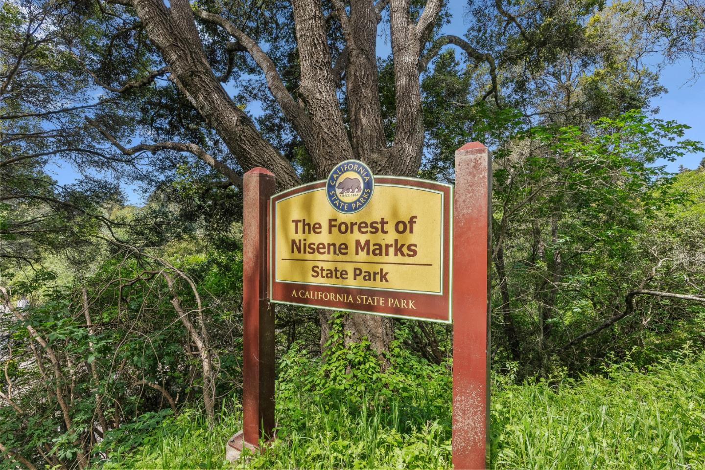 231 Aptos School Road Aptos, CA 95003 - Photo 43 of 49 a sign broad in a forest