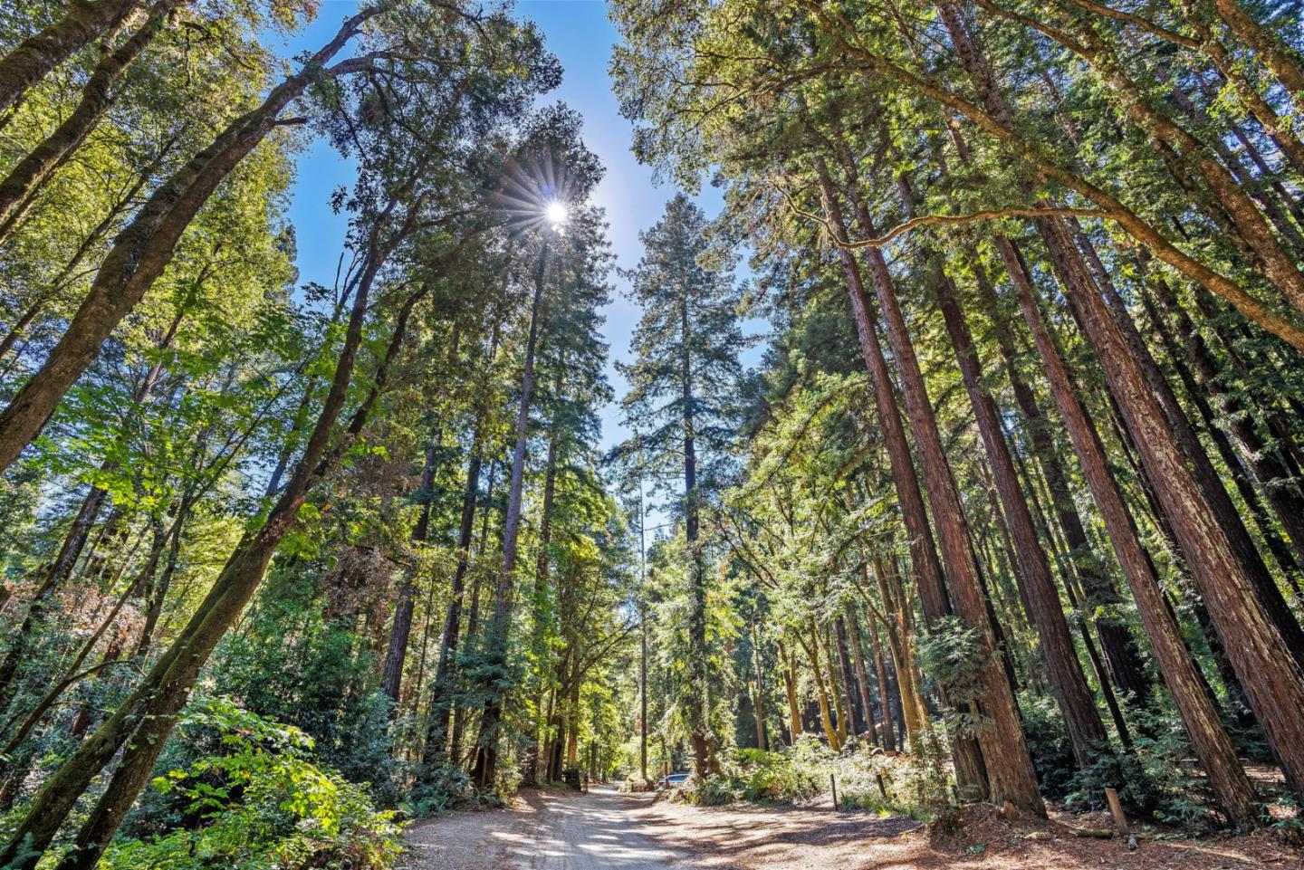 231 Aptos School Road Aptos, CA 95003 - Photo 44 of 49 a view of building along with trees