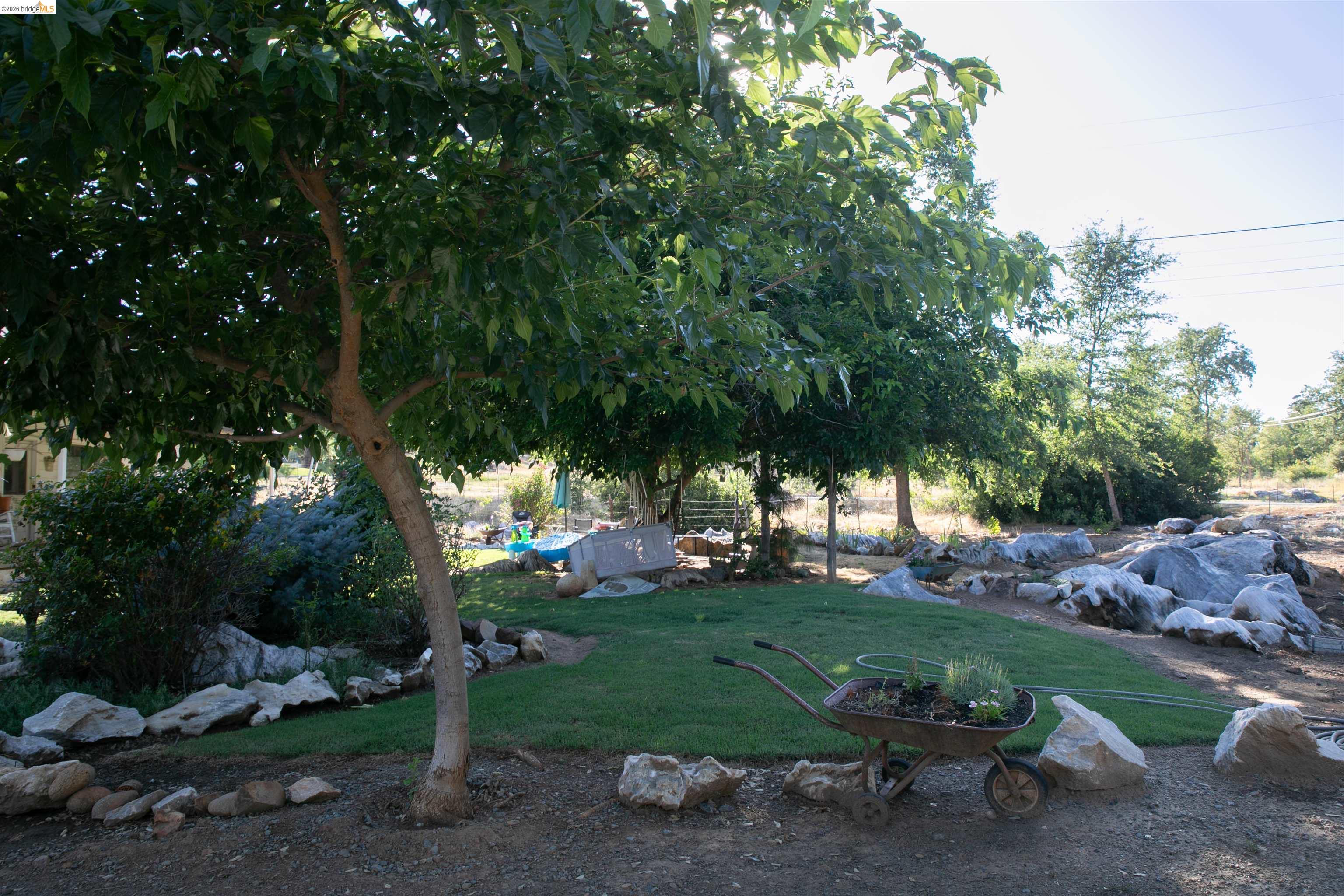 20982 Shaws Flat Road Sonora, CA 95370 - Photo 4 of 26 Expansive yard space featuring mature trees providing ample shade