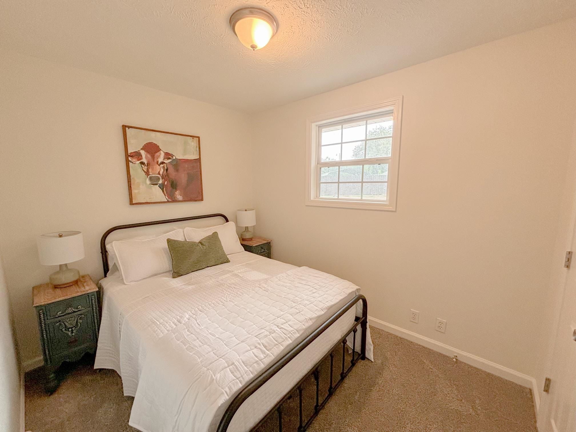 1695 Dawson Road Brighton, TN 38011 - Photo 9 of 13 Carpeted bedroom featuring a textured ceiling