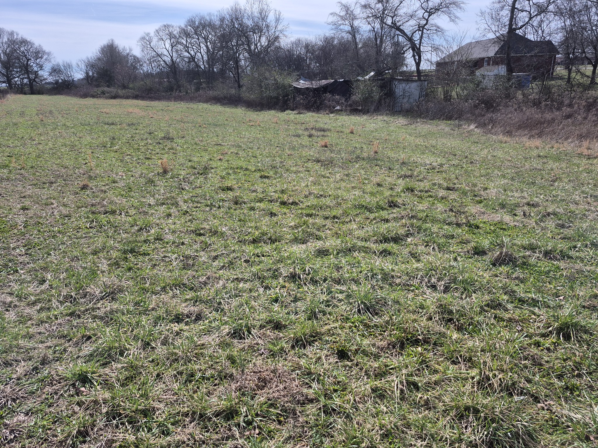 4352 Knights Church Road Decherd, TN 37324 - Photo 4 of 12 a view of a field with an trees