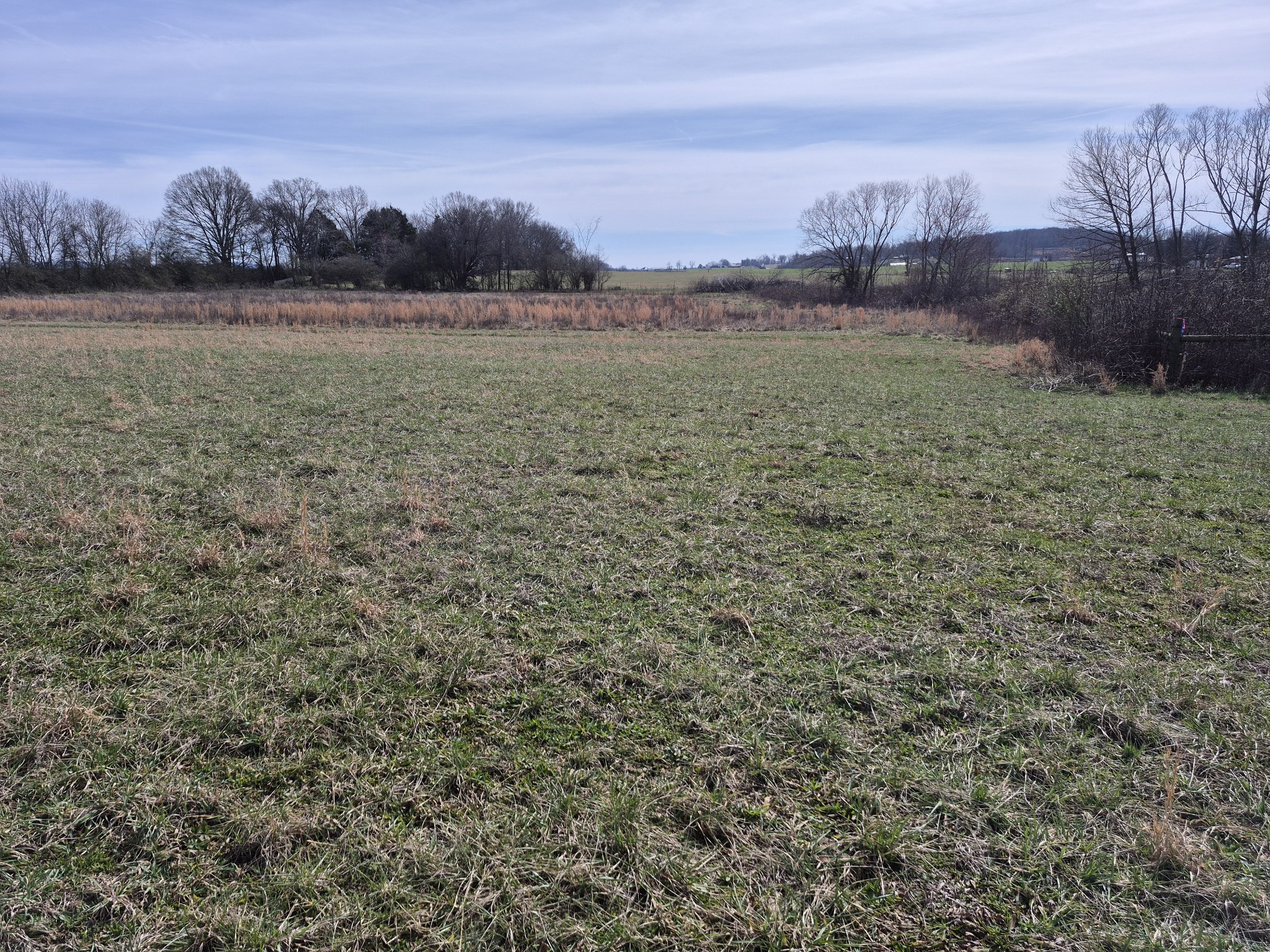4352 Knights Church Road Decherd, TN 37324 - Photo 5 of 12 a view of lake view and mountain view