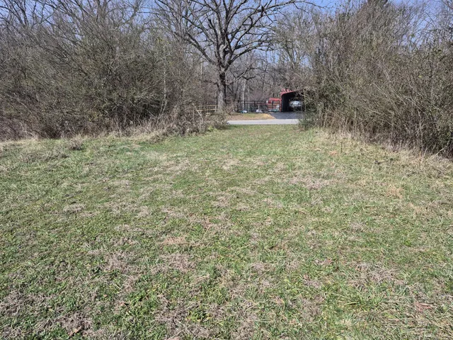 a view of a dry yard